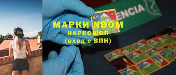 индика Алексеевка