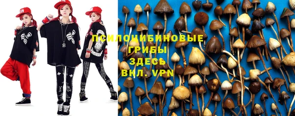 MDMA Premium VHQ Алзамай