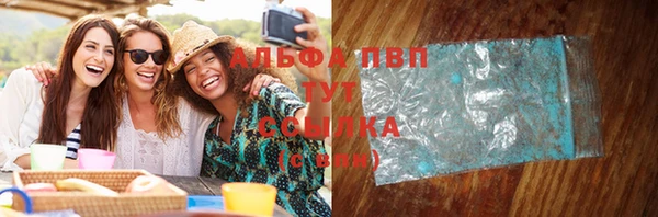 ПСИЛОЦИБИНОВЫЕ ГРИБЫ Абаза